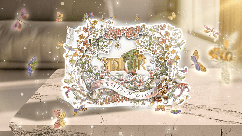 Dior × Snapchat AR packaging